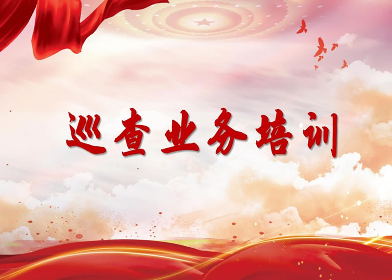 星空体育举办全级次巡察业务培训